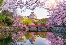 Japan Travel Guide: How to Stay Safe and Enjoy the Land of Tsunamis and Overtourism