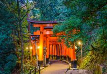 Once-in-a-Lifetime Journeys: Road, Sea, and City Adventures Worth Experiencing