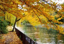 World’s Best Autumn City Breaks