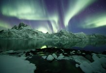 The Soul of the North: Why Norway Shines in Autumn