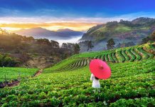 Vietnam: Asia’s ascending soul, the must-visit destination right now