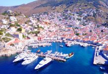 How Hydra Teaches You to Begin the Year Slowly