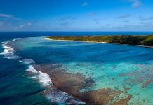 Cook Islands: Serene Beaches and Tropical Escapes in the South Pacific
