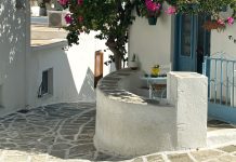 Paros in Spring: Cycladic Light, Blooming Landscapes & Quiet Island Magic