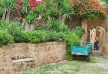 Rhodes: An island where fortresses, coastlines, and layered histories meet