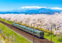 Tohoku: Japan beyond the megacities