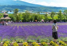 Hokkaido: Japan’s Northern Frontier