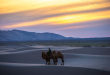 Mongolia: Landscapes Without Boundaries