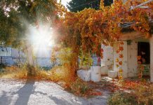 Super September: Why Europe’s New Travel Season Begins After Summer