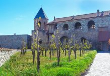 Kakheti in September: Inside Georgia’s Ancient Wine Country