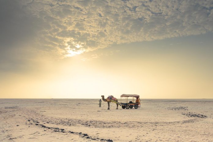 Rann of Kutch